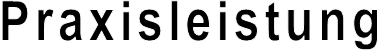 Praxisleistung